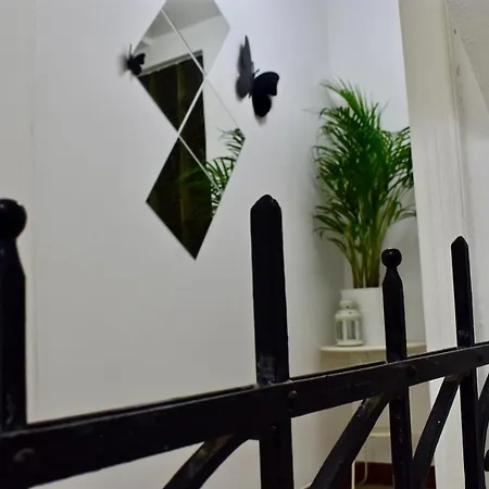 Guest house Macvanska 3*